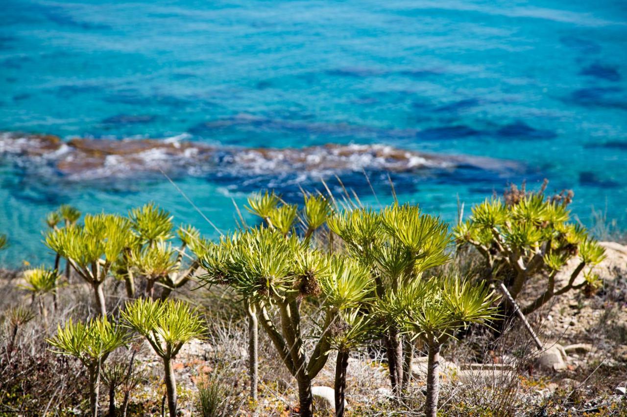 Calanuza El Campello Exterior foto